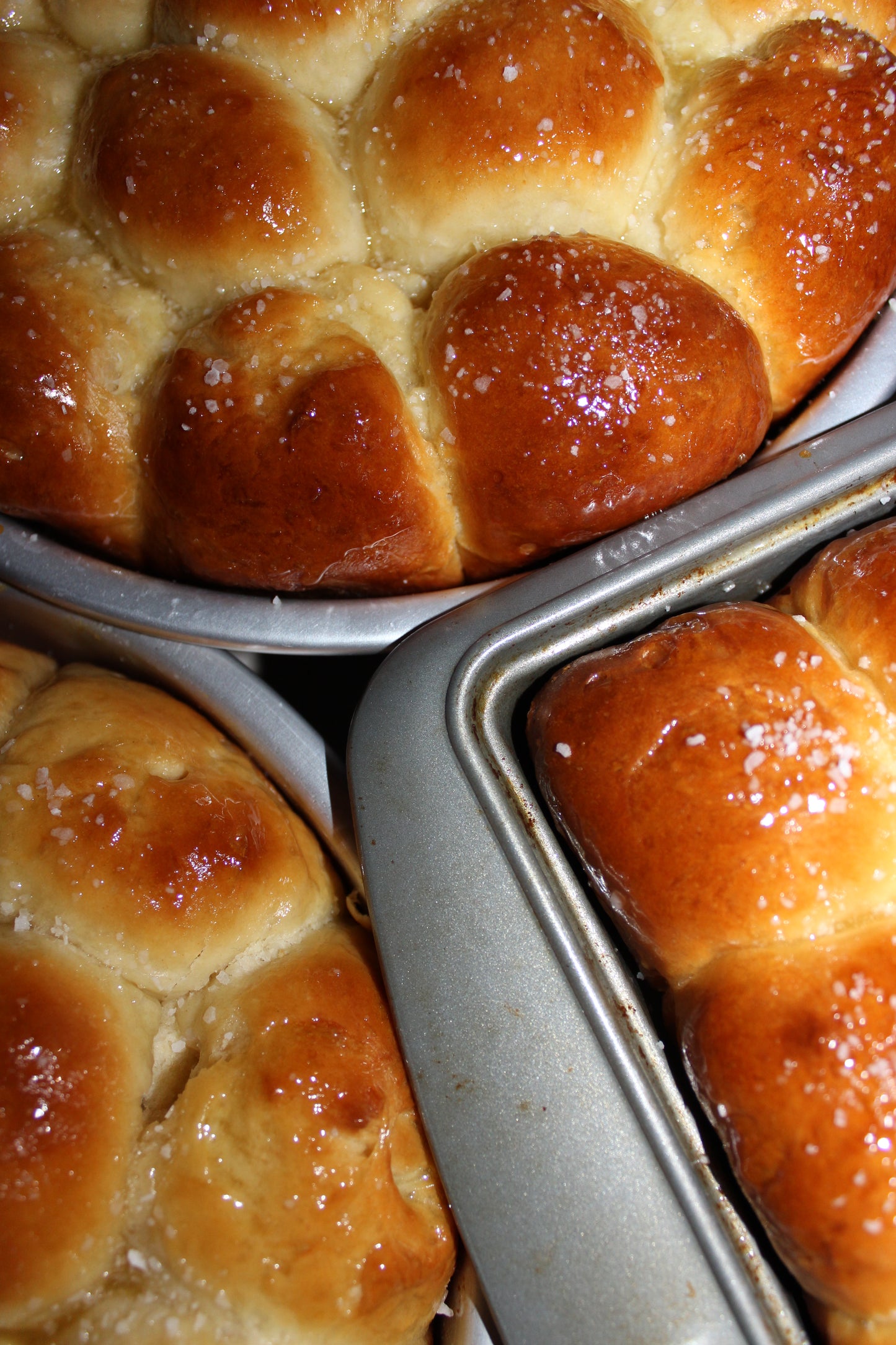 Dinner Rolls